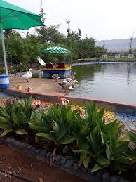 “Agro tourism camping experience in Satara villages”