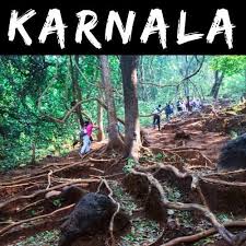 Karnala fort trek and nearby camping — birdwatching around Mumbai