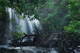 Best Monsoon Camping destinations in Maharashtra with hills Waterfalls and lakes